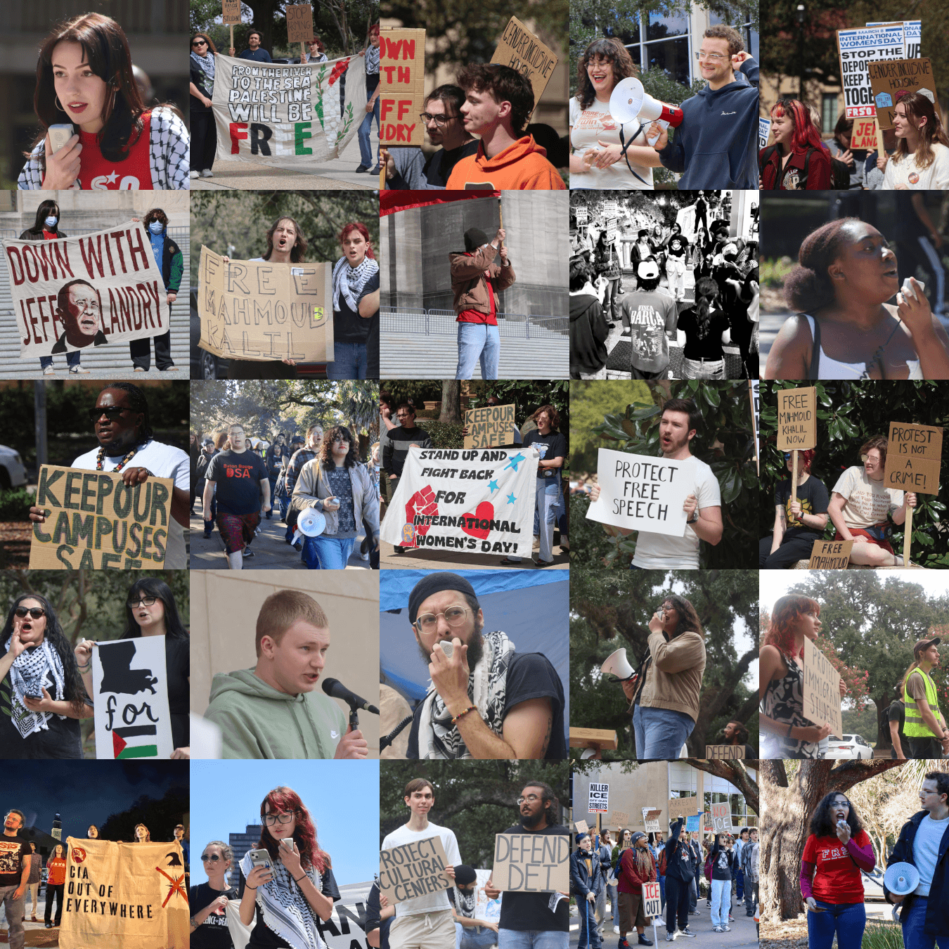 sds collage